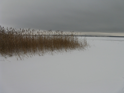 Плещеево озеро, зима